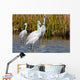 Snowy Egrets Wall Mural