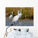 Snowy Egrets Wall Mural