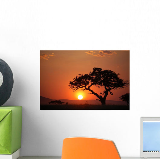 African Sunset Wall Mural