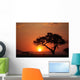 African Sunset Wall Mural