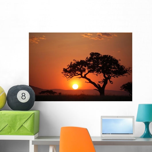 African Sunset Wall Mural