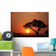 African Sunset Wall Mural