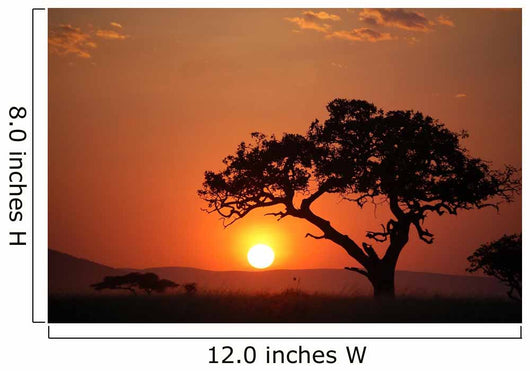 African Sunset Wall Mural