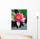 Close-up Lotus Flower Wall Mural