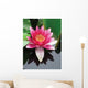 Close-up Lotus Flower Wall Mural
