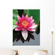 Close-up Lotus Flower Wall Mural