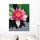 Close-up Lotus Flower Wall Mural