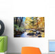 Autumn woods with creek Wall Mural