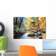 Autumn woods with creek Wall Mural