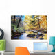 Autumn woods with creek Wall Mural