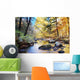 Autumn woods with creek Wall Mural