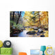 Autumn woods with creek Wall Mural