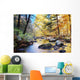 Autumn woods with creek Wall Mural