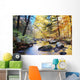 Autumn woods with creek Wall Mural