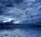 Ocean Wall Mural