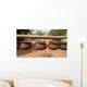 Water Jars Wall Mural
