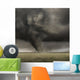 Powerful Tornado Wall Mural