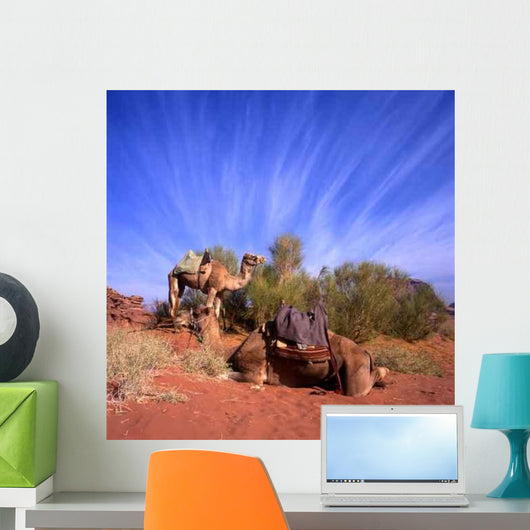 Two Camels Wadi Rum Wall Decal
