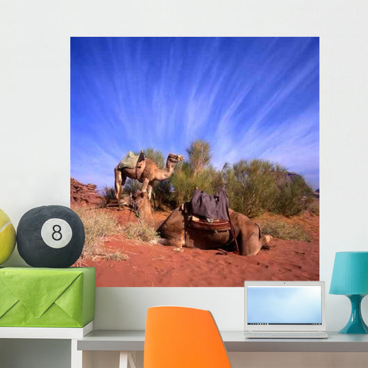 Two Camels Wadi Rum Wall Decal