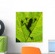 Frog shadow on the leaf Wall Mural