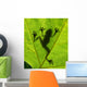 Frog shadow on the leaf Wall Mural