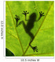 Frog shadow on the leaf Wall Mural