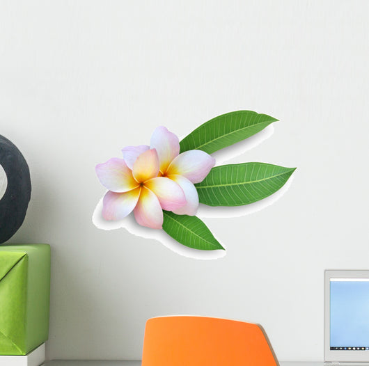 Frangipani Plumeria