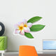 Frangipani Plumeria