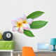 Frangipani Plumeria