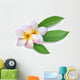Frangipani Plumeria