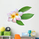 Frangipani Plumeria