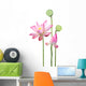 lotus flower and seedpod Wall Decal