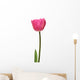 pink tulip Wall Decal