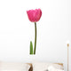 pink tulip Wall Decal