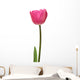 pink tulip Wall Decal