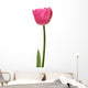 pink tulip Wall Decal