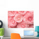 Camellia