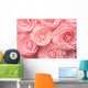 Camellia