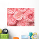 Camellia