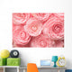 Camellia