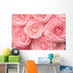 Camellia