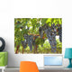 Grapes Vine Wall Mural