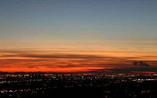 Sunset Phoenix Wall Decal