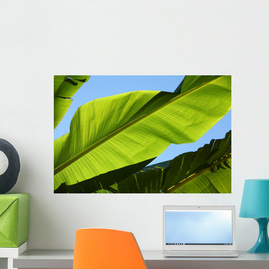 Palm Leaf Wall Mural