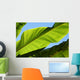 Palm Leaf Wall Mural