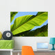 Palm Leaf Wall Mural