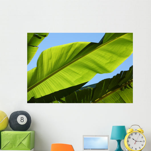 Palm Leaf Wall Mural