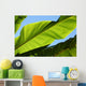 Palm Leaf Wall Mural