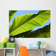 Palm Leaf Wall Mural