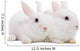 Two white rabbits Wall Decal
